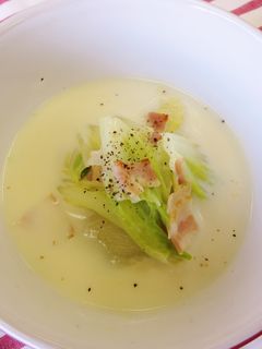 白菜の豆乳スープ-レシピのメイン写真