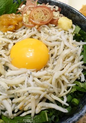 薬味たっぷり！ごまの風味香る簡単しらす丼-レシピのメイン写真