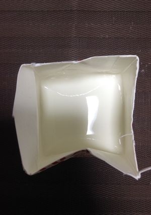 :失敗なし！カスピ海ヨーグルトの増やし方-レシピのメイン写真