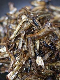 ・煮干しの佃煮-レシピのメイン写真
