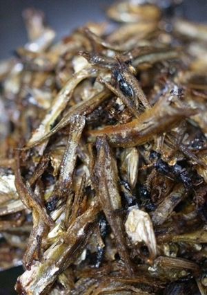 ・煮干しの佃煮-レシピのメイン写真