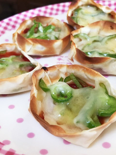 【簡単おつまみ】餃子の皮で簡単ピザ-レシピのメイン写真