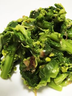 白菜の菜の花 おかか和え★-レシピのメイン写真