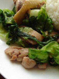 しゃきしゃきレタスと鶏肉の炒め物♪-レシピのメイン写真
