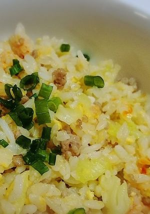 シャキシャキッ餃子風炒飯-レシピのメイン写真