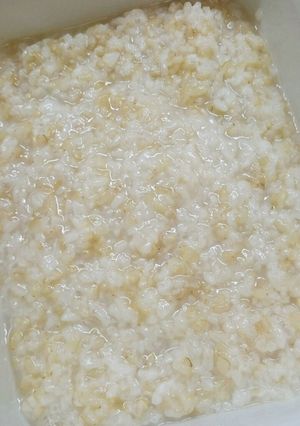 炊飯器で★玄米甘酒の簡単な作り方-レシピのメイン写真