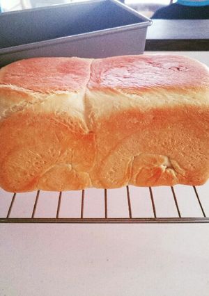 手ごねで食パン～低温発酵-レシピのメイン写真
