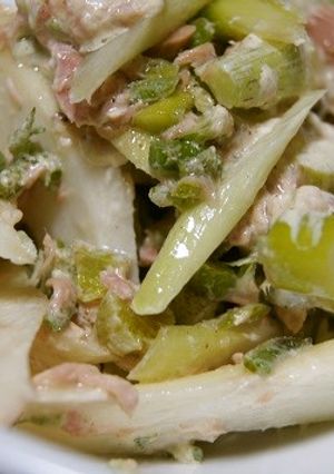 ウドとシーチキンのサラダ-レシピのメイン写真
