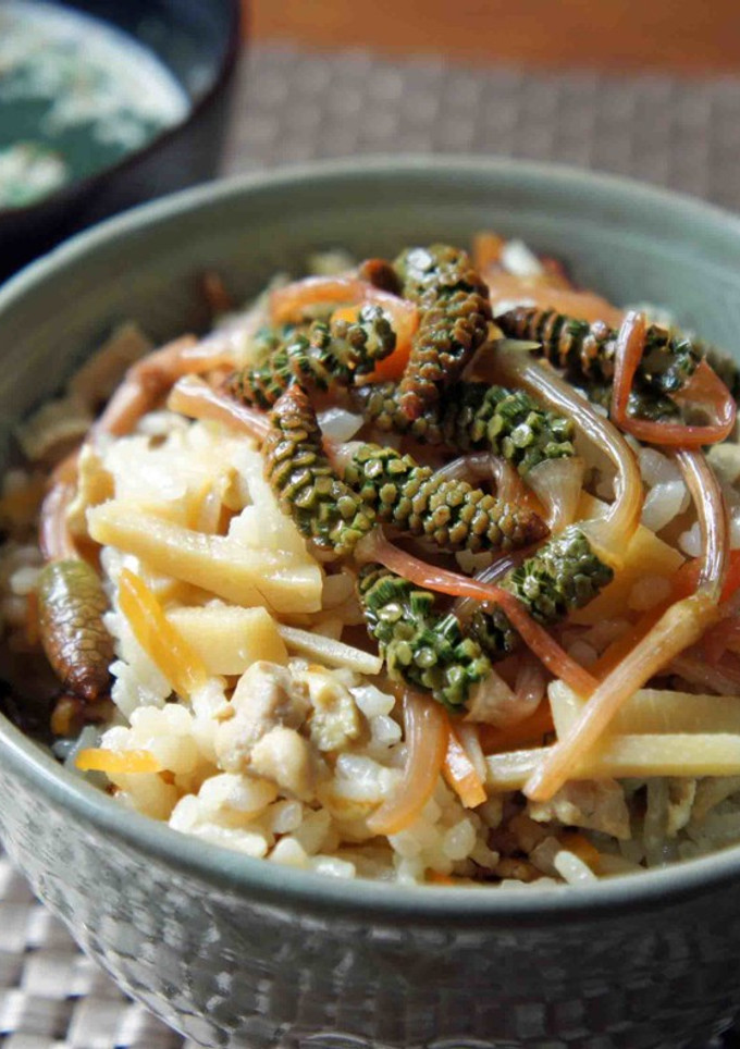 たけのことつくしの炊き込みご飯-レシピのメイン写真
