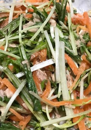 水菜のシャキシャキサラダ-レシピのメイン写真