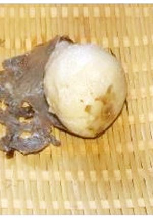 裏技「里芋の皮剥」-レシピのメイン写真