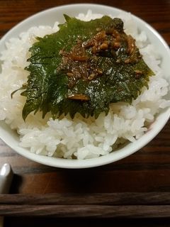 大葉の醤油漬け-レシピのメイン写真