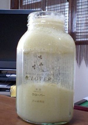 キャベツの酵素ジュース-レシピのメイン写真