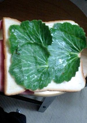 １分料理★ゆきのしたサンドウィッチ-レシピのメイン写真