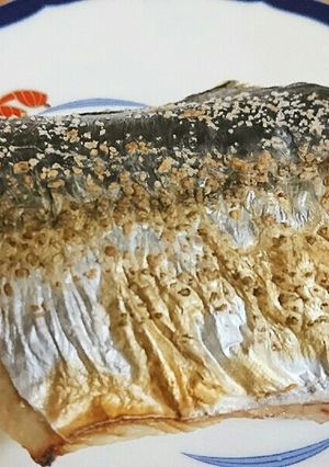 サワラの酒塩漬け焼き 板前の嫁レシピ-レシピのメイン写真