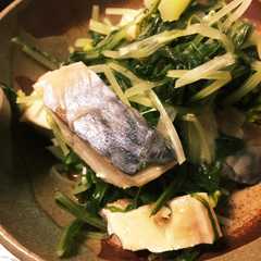 รูปของ 超超カンタン！絶品水菜と塩鯖の旨煮