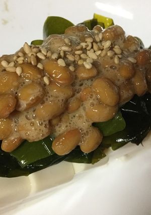 納豆とワカメの冷や奴-レシピのメイン写真