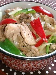 ☆塩ダレ焼肉丼☆-レシピのメイン写真