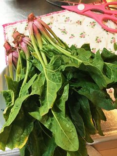 ほうれん草のおひたし(梅酢)-レシピのメイン写真