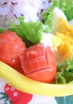 お花ウインナー-レシピのメイン写真