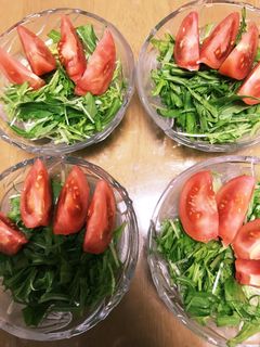 水菜とトマトのサラダ-レシピのメイン写真