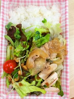 生姜焼き弁当-レシピのメイン写真