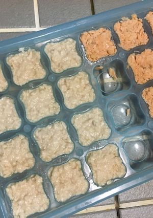 離乳食中期＊鮭と鶏ひき肉-レシピのメイン写真