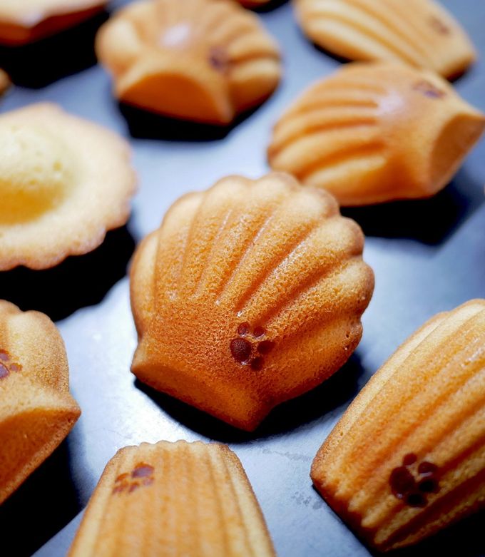 マドレーヌ by ブラウンジャック 【クックパッド】 簡単おいしい