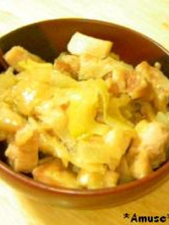 鶏肉と長ねぎの生姜煮-レシピのメイン写真