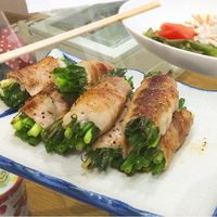 ねぎまき Amazon.co.jp: ネギマキネット 60×125cm Lタイプ ネギの運搬に 葱 収穫