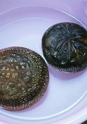 椎茸のヒダの中にいる虫の取り方です。-レシピのメイン写真