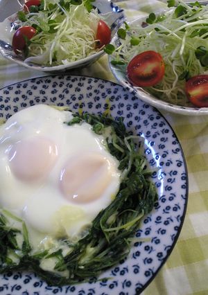 ✿水菜のしゃきしゃき巣ごもり☆卵のせ✿-レシピのメイン写真