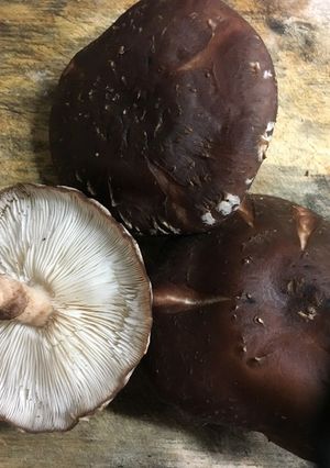 生しいたけを焼くだけ-レシピのメイン写真