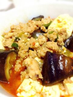 発汗!血行促進!麻婆茄子豆腐-レシピのメイン写真