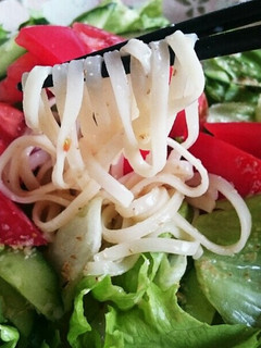 野菜たっぷりゴマだれサラダうどん-レシピのメイン写真