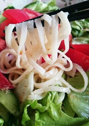 野菜たっぷりゴマだれサラダうどん-レシピのメイン写真