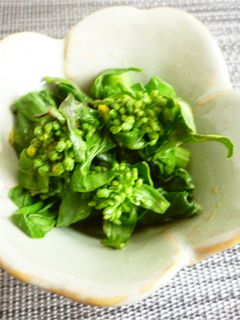 ちんげん菜花の辛子和え-レシピのメイン写真