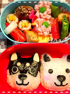 お弁当6日目/ワンコおにぎり-レシピのメイン写真
