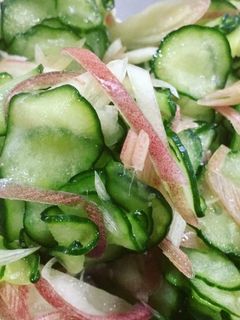 寿司酢で簡単酢の物-レシピのメイン写真