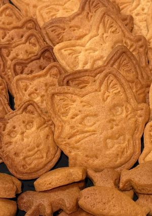 ホットケーキミックスで作るクッキー-レシピのメイン写真