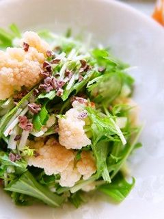 カリフラワーと水菜のマリネサラダ-レシピのメイン写真