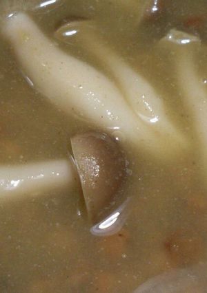 簡単☆しめじとレンズ豆のグリーンカレー-レシピのメイン写真