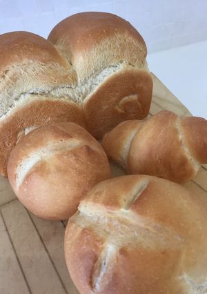 テーブルロール 手ごね-レシピのメイン写真