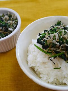ほうれん草のじゃこふりかけ【JA福岡市】-レシピのメイン写真