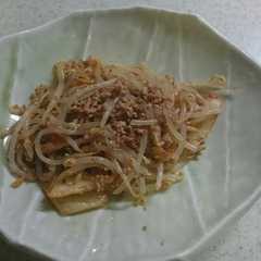 豚ひき肉ともやしのキムチ和え-レシピのメイン写真