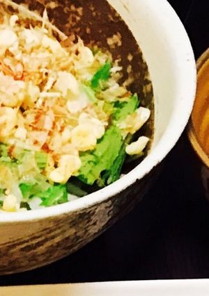 モリモリ食べよう!新玉ねぎの黒酢ドレ-レシピのメイン写真