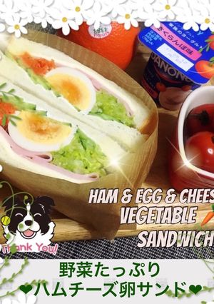 野菜たっぷり♡ハムチーズ卵サンド♪-レシピのメイン写真