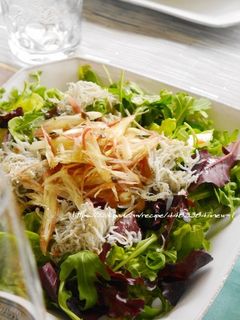 みょうがとしらすのグリーンサラダ-レシピのメイン写真