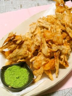 サクサク!ごぼうとエビのかき揚げ-レシピのメイン写真