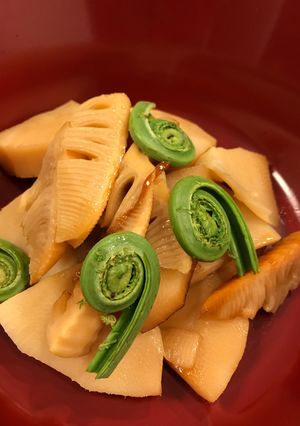 新筍の含め煮-レシピのメイン写真